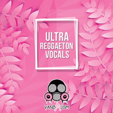 Ultra Reggaeton Vocals