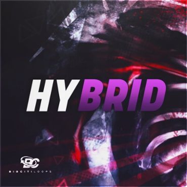 Hybrid: Hip Hop