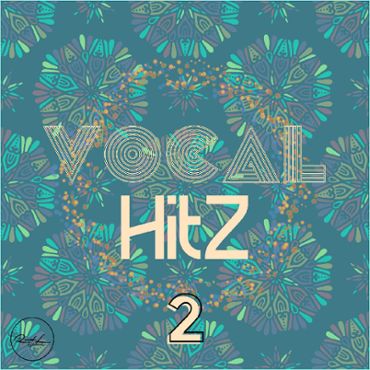 Vocal Hits Vol 2