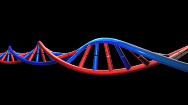 DNA Animation HD