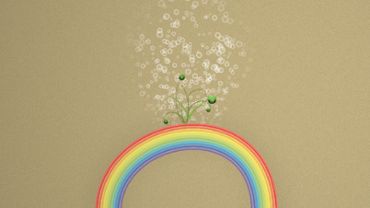 Rainbow plants