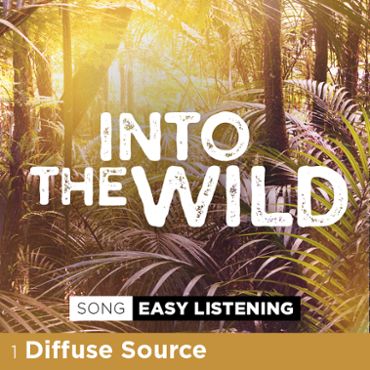 Diffuse Source