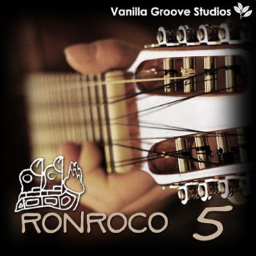 World String Loops: Ronroco Vol 5
