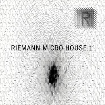 Micro House 1