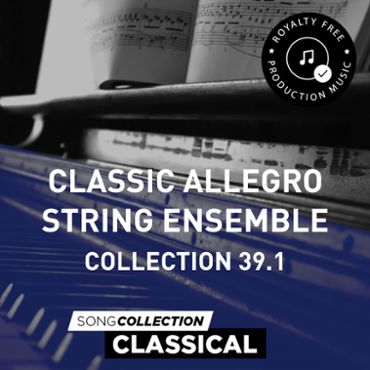 Classic Allegro String Ensemble - Collection 39.1