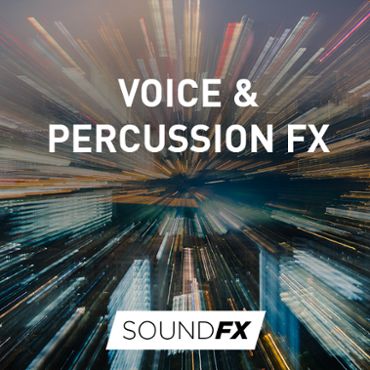 Voice & Percussion Fx