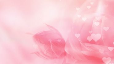 Pink Flowers Background