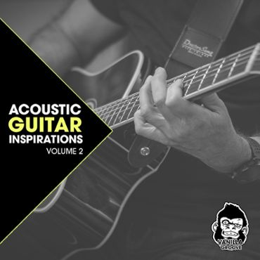 Acoustic Guitar Inspirations Vol 2