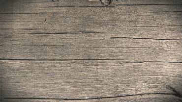 Wooden Texture