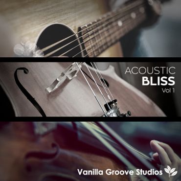 Acoustic Bliss Vol 1
