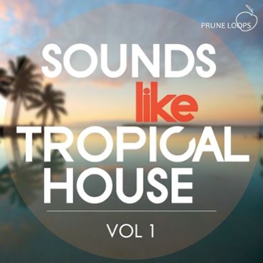 Sounds Like Tropical House Vol 1