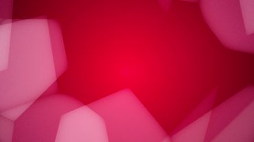 Rose Tints