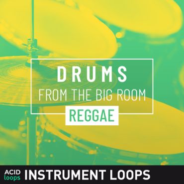 Drums from the Big Room - Reggae
