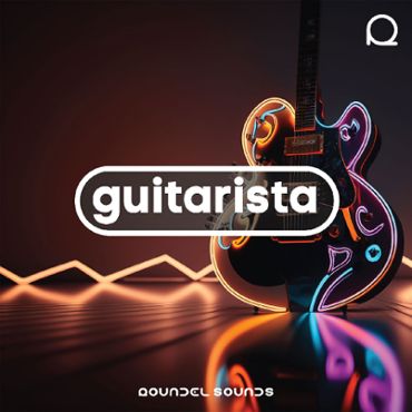 Guitarista