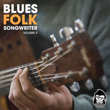 Blues Folk Songwriter Vol 3