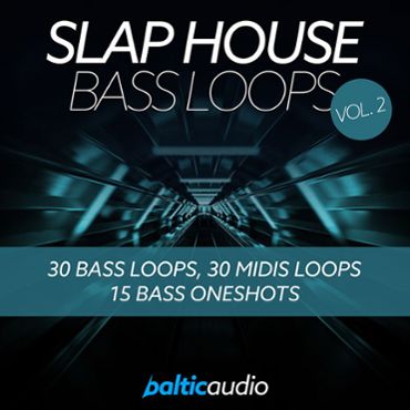 Slap House Bass Loops Vol 2