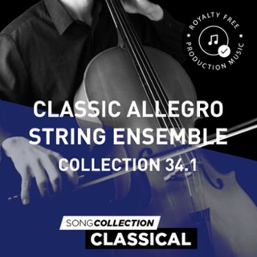 Classic Allegro String Ensemble - Collection 34.1