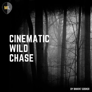 Cinematic Wild Chase Vol 1
