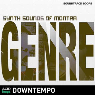 Synth Sounds Of Montra - Genre