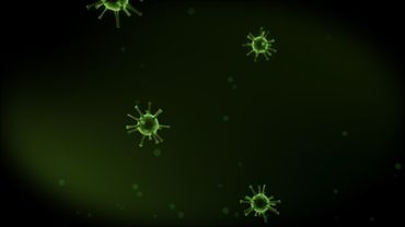 Virus 2