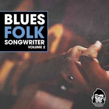 Blues Folk Songwriter Vol 2