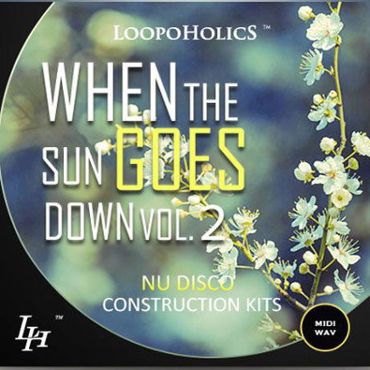 When The Sun Goes Down Vol 2: Nu Disco Kits