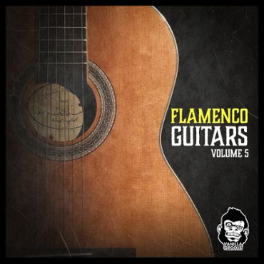 Flamenco Guitars Vol 5