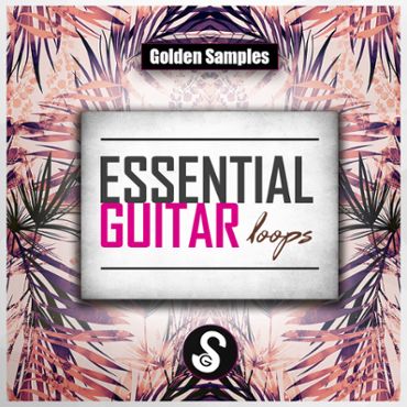 Essential Guitar Loops Vol 1