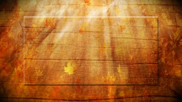 Autumn foliage background