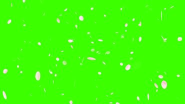 Cherry petals