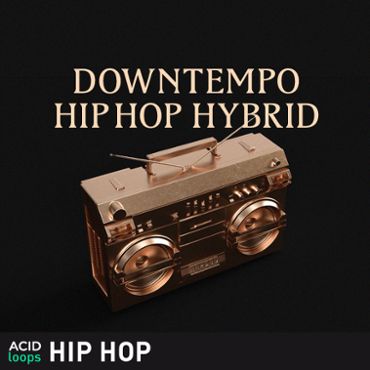 Downtempo Hip Hop Hybrid