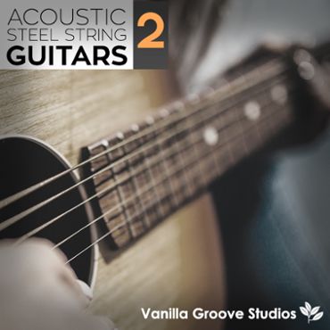 Acoustic Steel String Guitars Vol 2