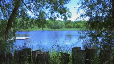 Lake Nature