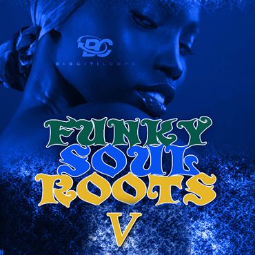 Funky Soul Roots 5