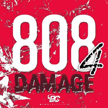 808 Damage 4