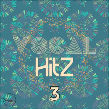 Vocal Hits Vol 3