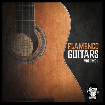 Flamenco Guitars Vol 1