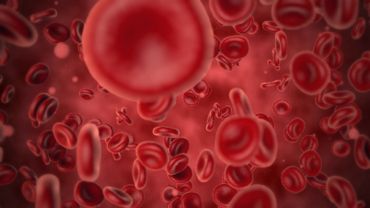 Active Blood Cells