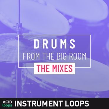 Drums from the Big Room - The Mixes