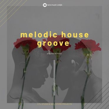 Melodic House Groove