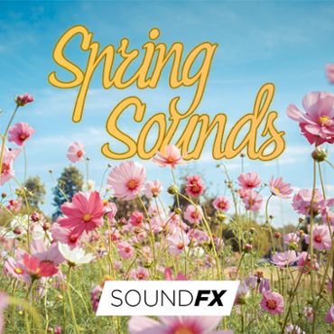 Spring & Summer Sounds