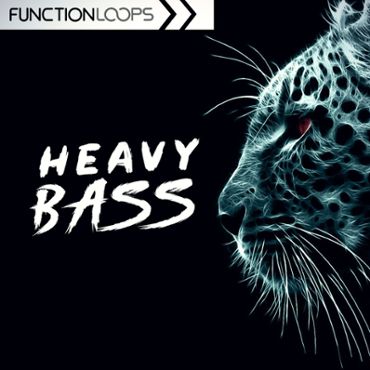 Heavy Bass: Dubstep & Riddim