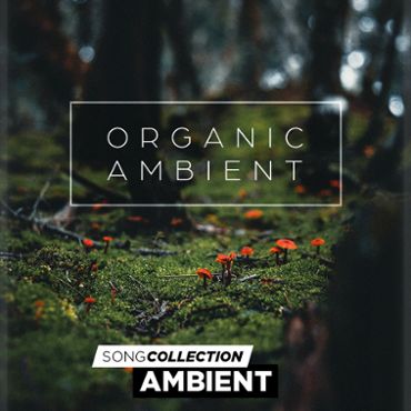 Organic Ambient