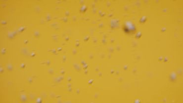 Bubbles on a yellow background