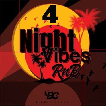 Night Vibes RnB 4
