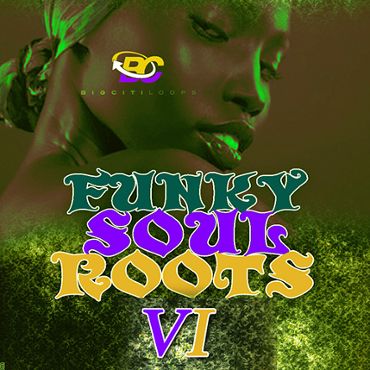 Funky Soul Roots 6