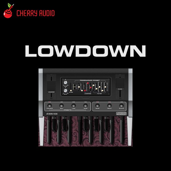 Lowdown Bass Synthesizer