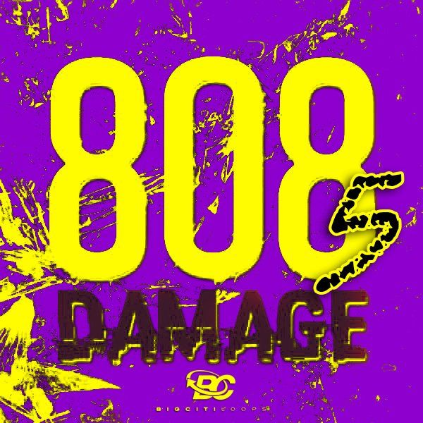 808 Damage 5