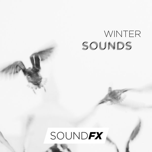 Winter Sounds