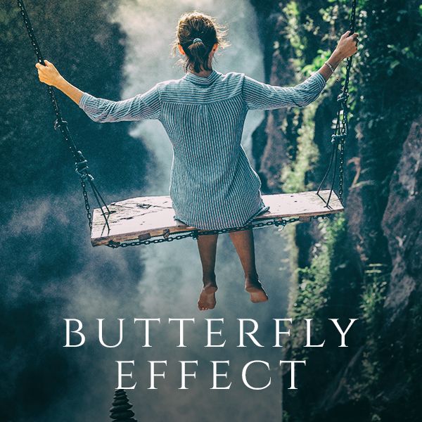 Butterfly Effect